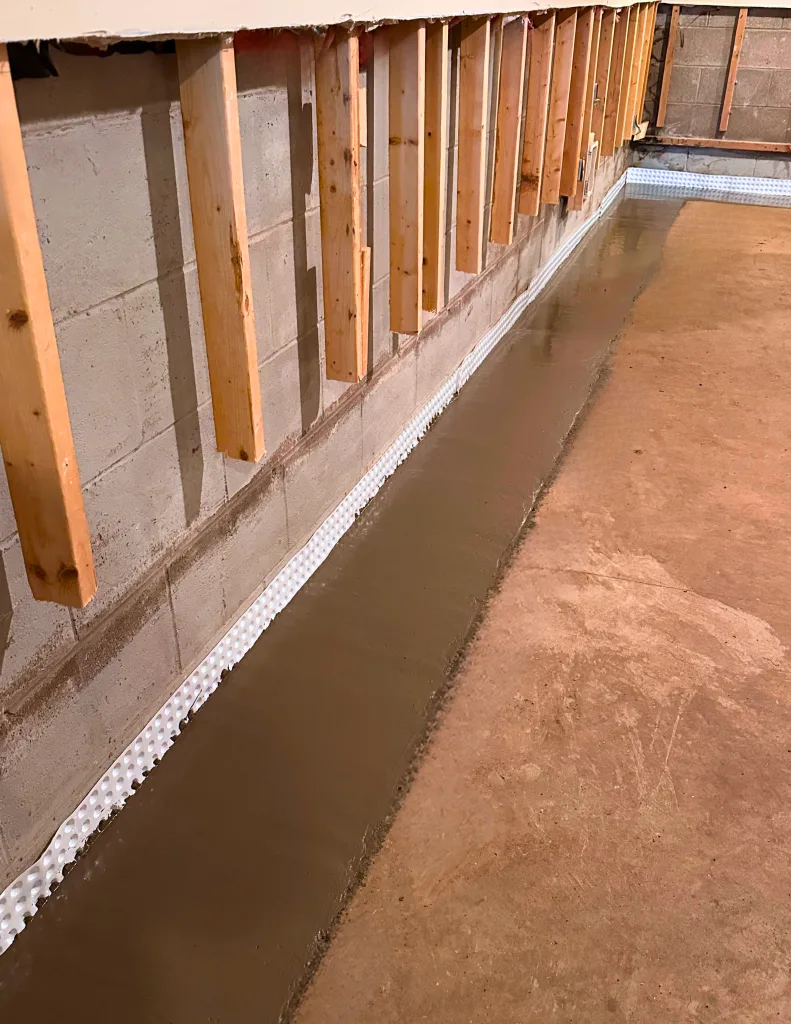 Clean Basement