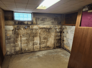 Moldy Basement Damage