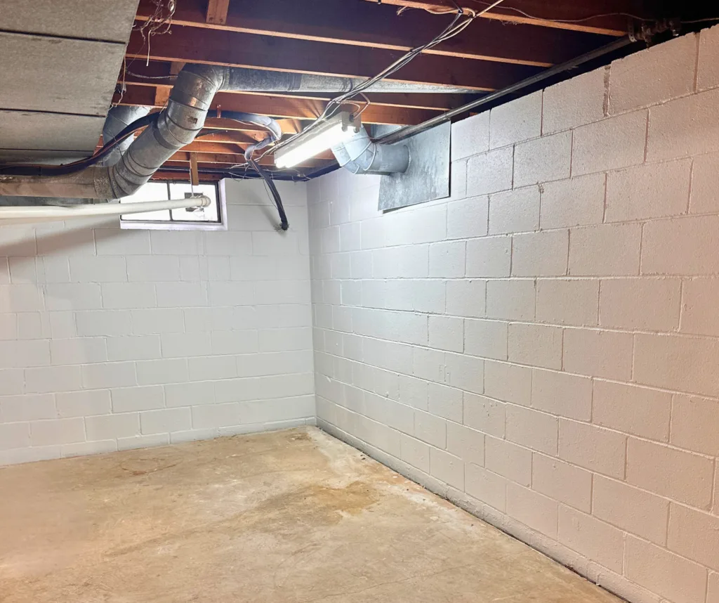 Basement in demolition phase with exposed framing, removed flooring, and stripped walls during mold-safe renovation